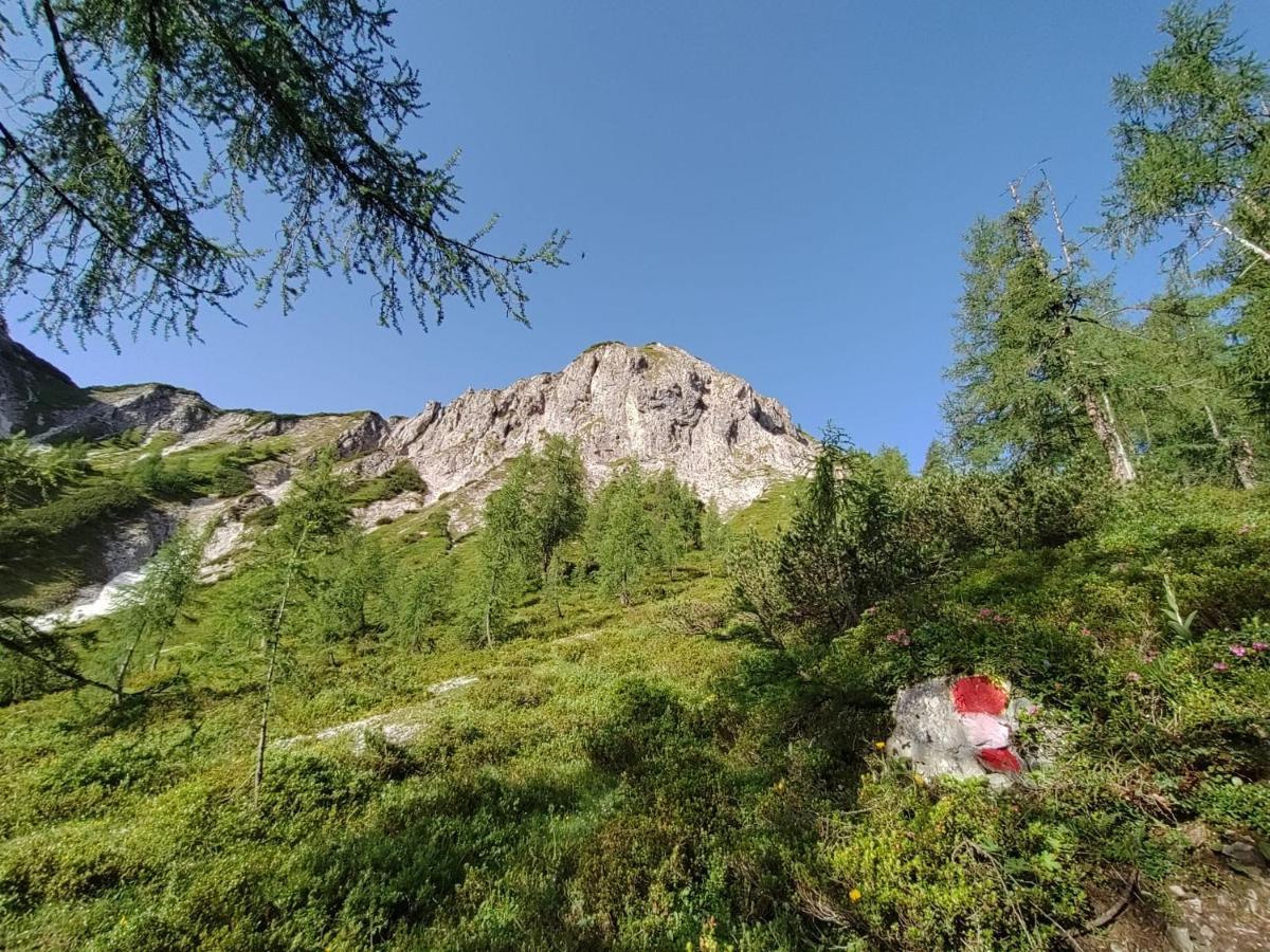 Firstpeak Chalets Zauchensee Exterior photo